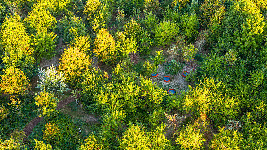 Drohnenaufnahme eines dicht bepflanzten Gartenbereichs mit vielen Bäumen und mehreren runden Elementen.