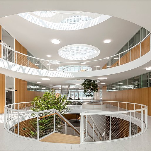 Blick ins weitläufige Atrium des Julius-Kühn-Instituts in Dossenheim. Die runden Deckenöffnungen verbinden die Geschosse und lassen Sonnenstrahlen herein. An den Treppen wachsen Bäume. 