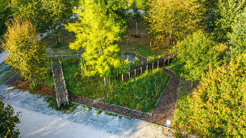 Drohnenaufnahme eines eingefassten Gartenbereichs mit jungen Bäumen, Wegen und Vegetation.