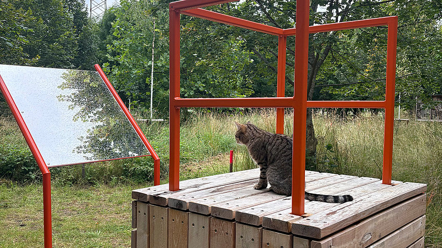 Eine Katze sitzt auf einer Holzplattform mit roten Metallrahmen vor einer Informationstafel im Klimagarten.