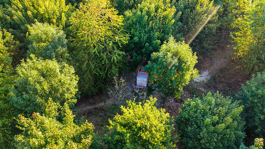 Drohnenaufnahme eines dicht bewachsenen Gartenbereichs mit Bäumen, Wegen und einer kleinen Holzplattform.